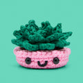 Kibakids - Jade the Succulent Crochet Kit