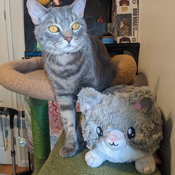 Kibakids - Mini Kibakids Grey Kitty
