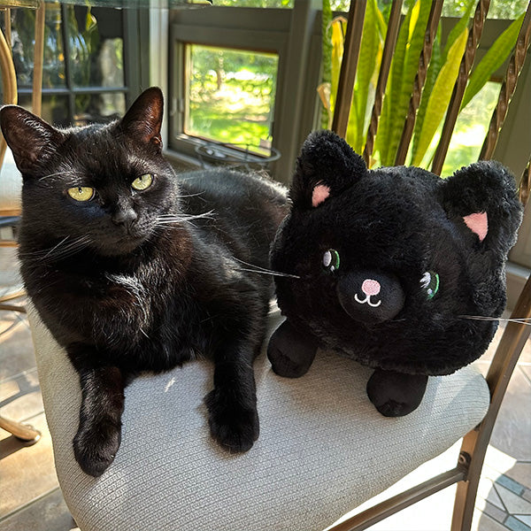 Kibakids - Mini Kibakids Black Kitty