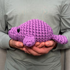 Kibakids - Extra Extra Squeeze All About It Bundle