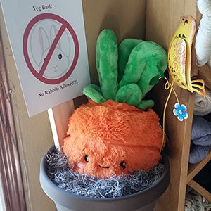 Kibakids - Comfort Food Carrot