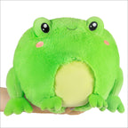 Kibakids - Mini Kibakids Frog