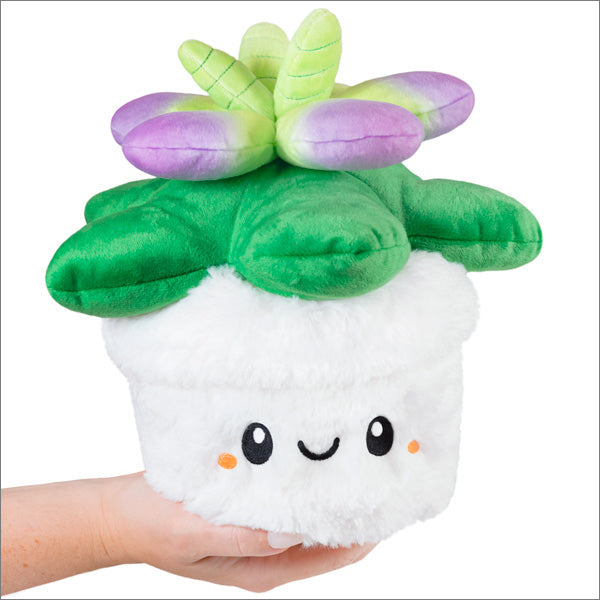 Kibakids - Mini Kibakids Succulent