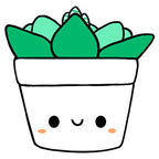 Kibakids - Mini Kibakids Succulent
