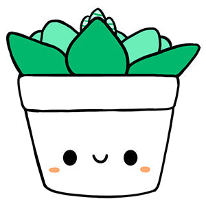 Kibakids - Mini Kibakids Succulent