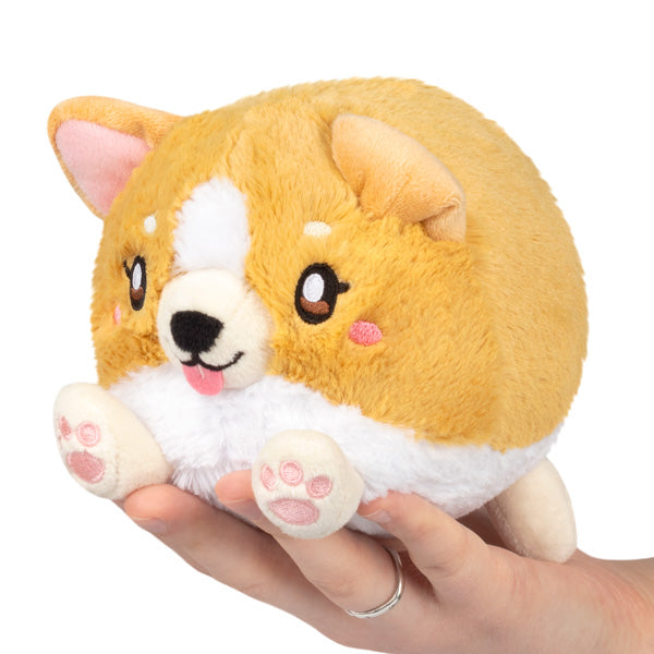 Kibakids - Snacker Baby Corgi S1E4
