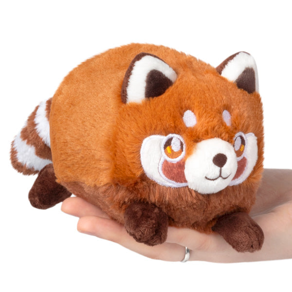 Kibakids - Snacker Red Panda S1E1