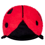 Kibakids - Snacker Ladybug