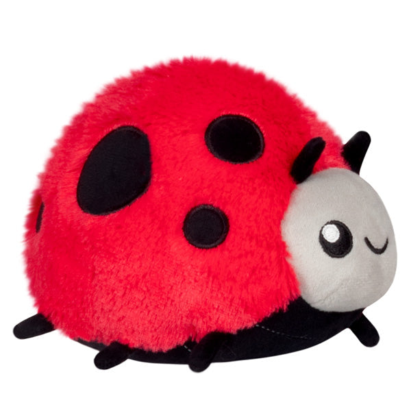 Kibakids - Snacker Ladybug
