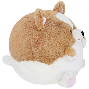 Kibakids - Kibakids Corgi