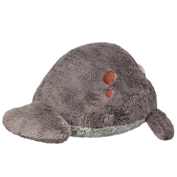 Kibakids - Kibakids Manatee