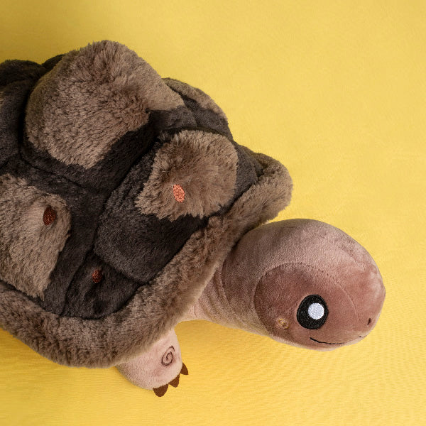 Kibakids - Kibakids Tortoise