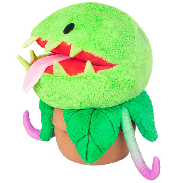 Kibakids - Kibakids Venus Flytrap