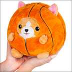 Kibakids - Undercover Corgi in Basketball
