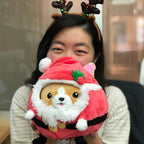 Kibakids - Undercover Corgi in Santa
