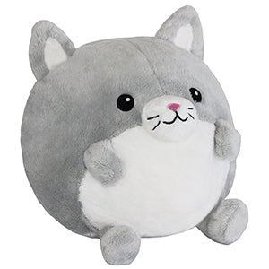 Kibakids - Undercover Kitty in Dragon