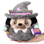 Kibakids - Undercover Pug in Witch